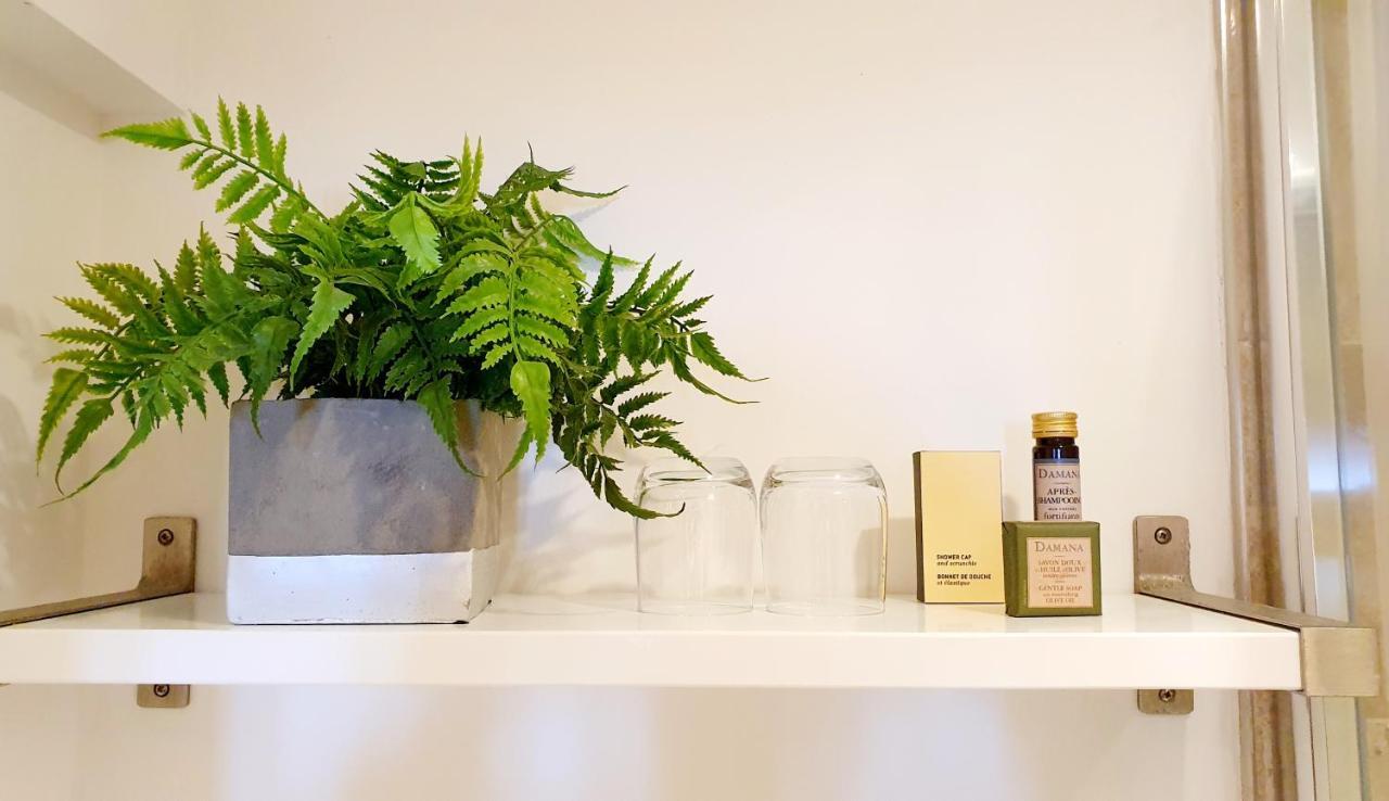 A Room With A View Brighton Ngoại thất bức ảnh A fern in a bathroom